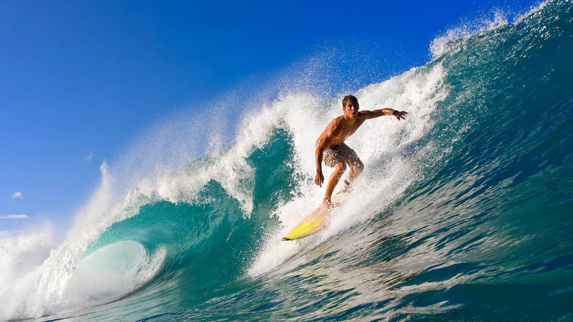 共同的梦想：车手与团队的拼搏瞬间，车手的意义